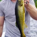 Walleye fishing in Canada